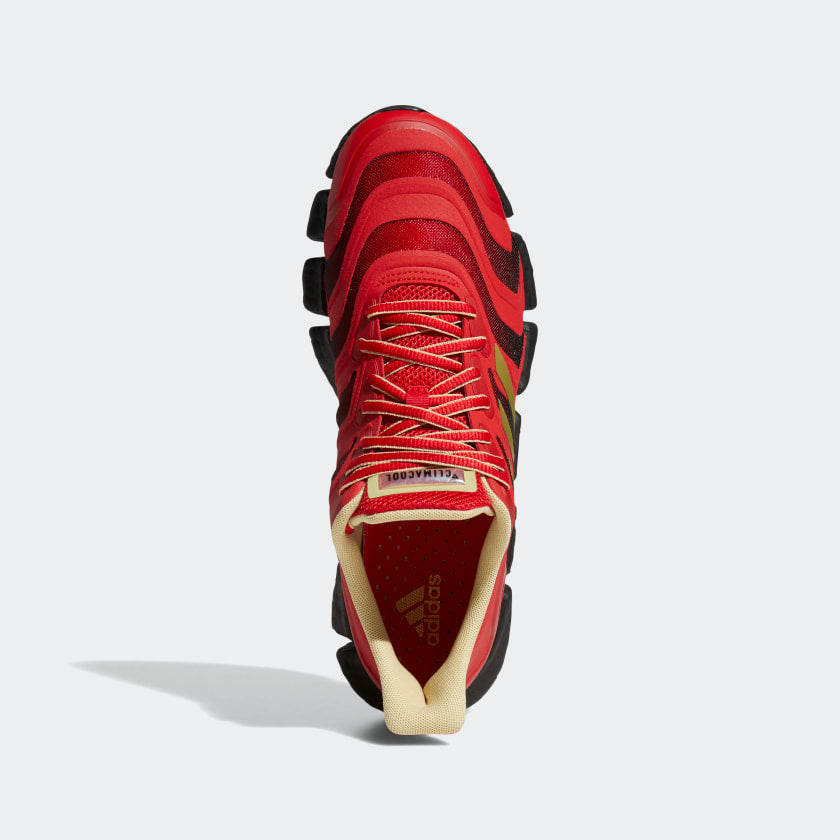 Adidas Climacool Vento P J Footwear